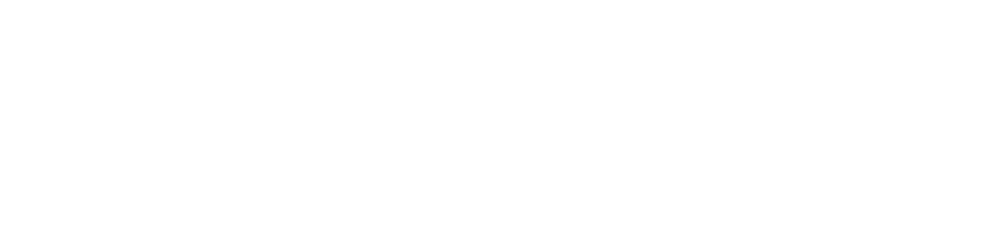 NAMIC Logo